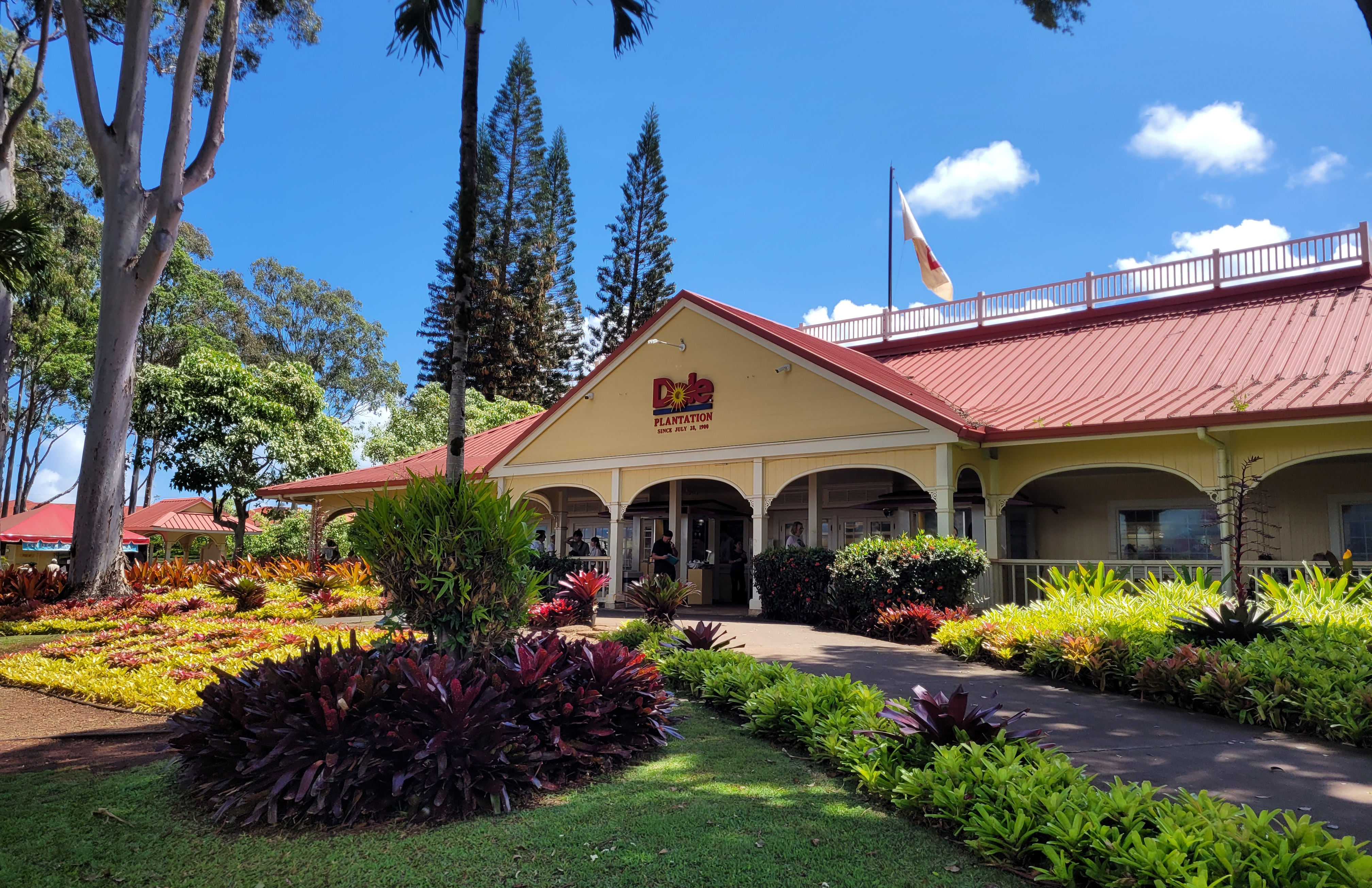 Dole Plantation